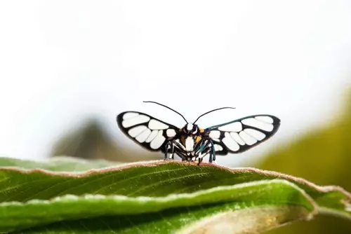 20160630_134406_044.jpg