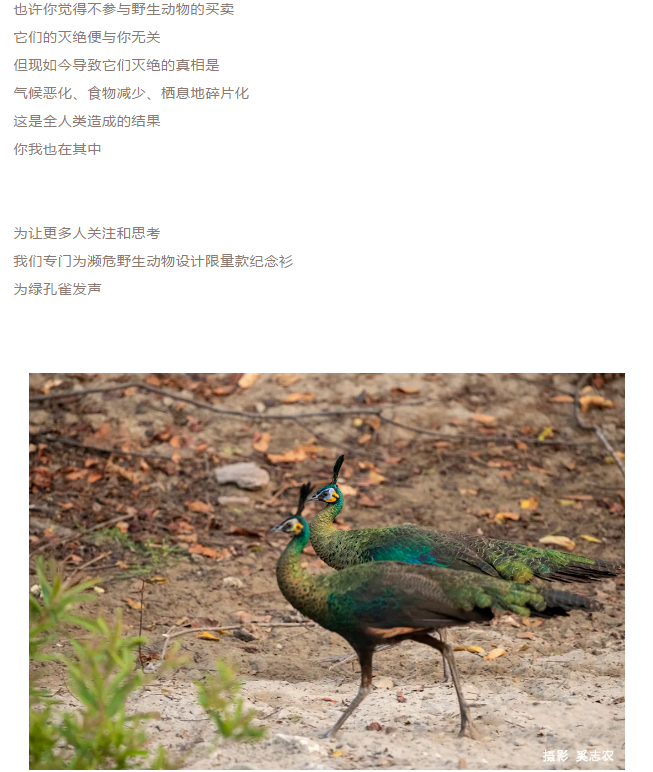 1620887162672090.png
