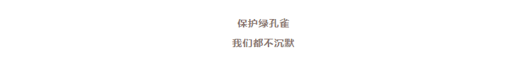 1620887432887567.png